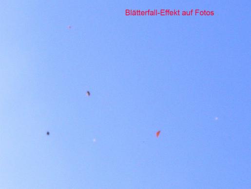 2011-10-amcb-Blu00e4tter-Ufoeffekt