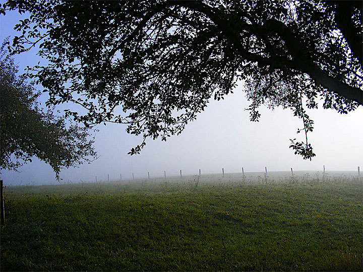 2011-10-ebac-nebel-odw-1