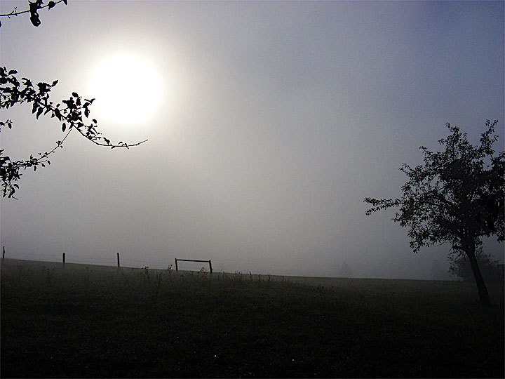 2011-10-ebad-nebel-odw-1