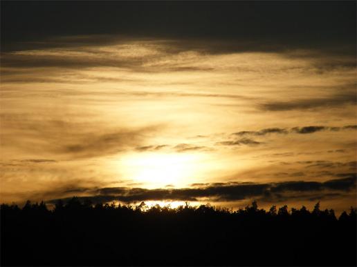 2011-11-aha-Sonnenuntergang - Odenwald