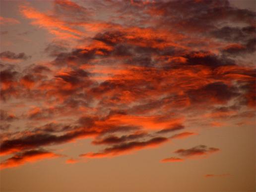 2011-11-ahh-Sonnenuntergang - Odenwald