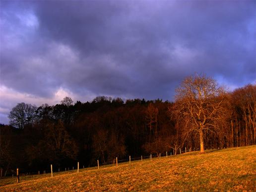 2011-12-dif-Sonnenuntergang - Odenwald