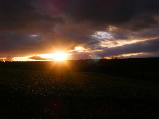 2011-12-dig-Sonnenuntergang - Odenwald