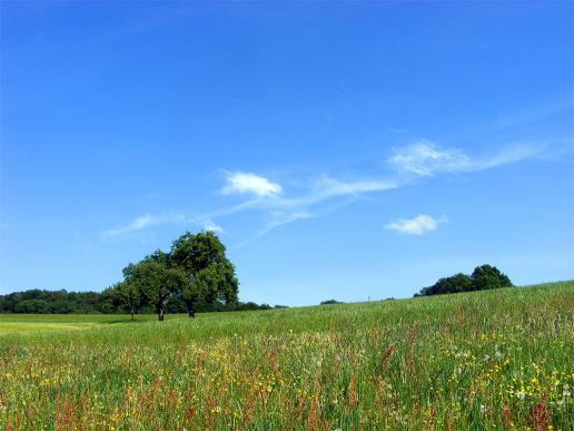 2012-05-fka-Wolken u00fcber Odenwald