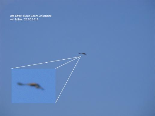 2012-05-gdz-Rotmilan-Ufoeffekt