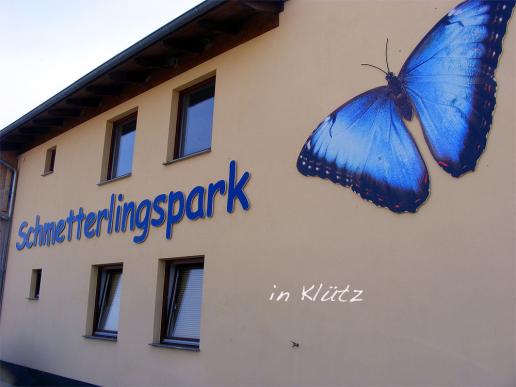 2012-08-0875-Schmetterlingspark - Klütz bei Boltenhagen / Ostsee