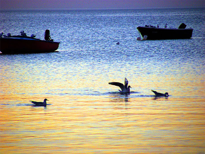 2012-08-1146-ostsee-zierow-1