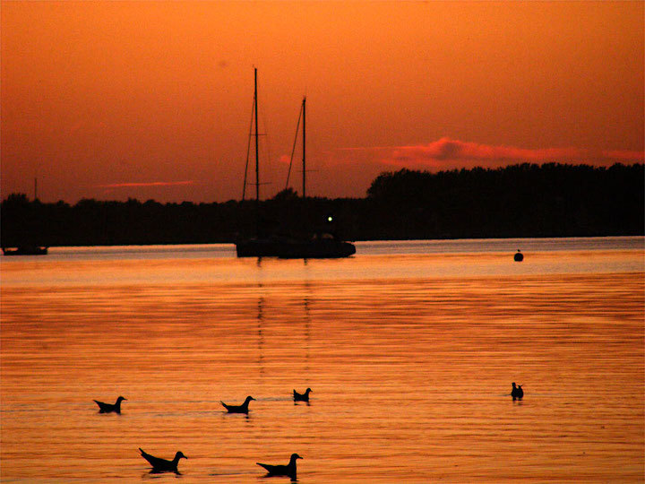 2012-08-1155-ostsee-zierow-1