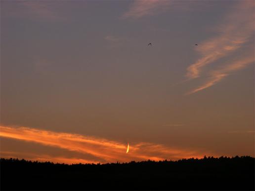 2012-09-cg-Kondensstreifeneffekt am Horizont