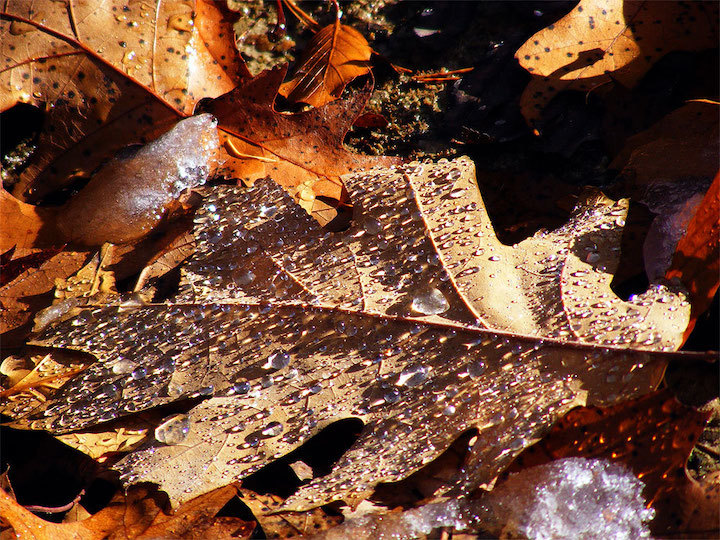 2012-10-gkzn-herbstschnee-1