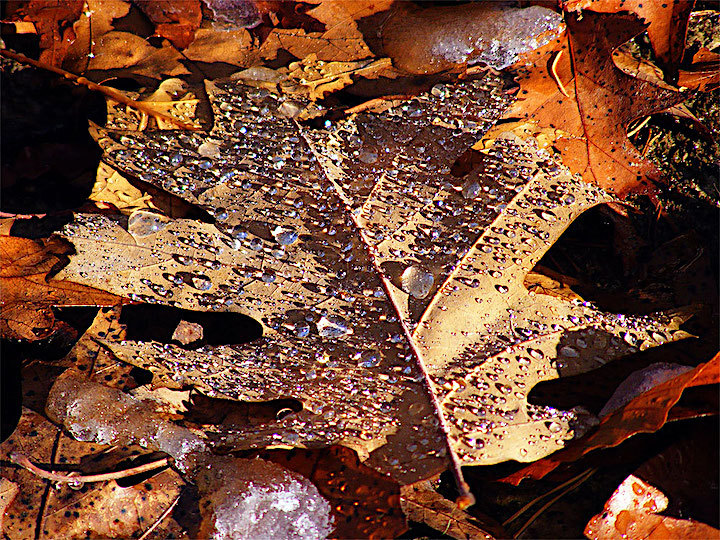 2012-10-gkzo-herbstschnee-1