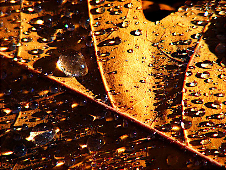 2012-10-gkzp-herbstschnee-1