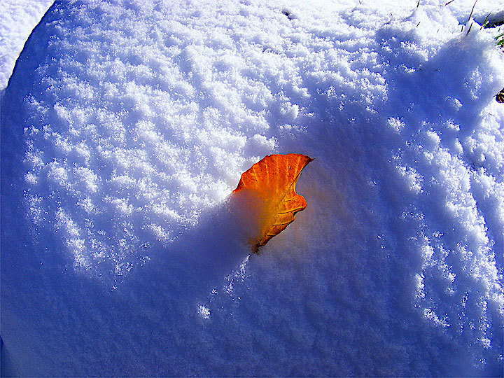 2012-10-gkzr-herbstschnee-1