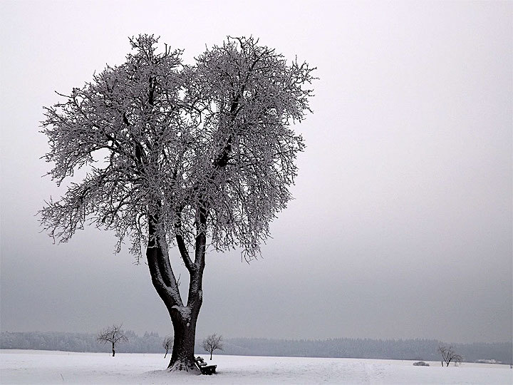 2013-01-eal-vielbrunn-eis-1