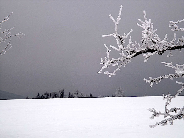 2013-01-eawe-vielbrunn-1