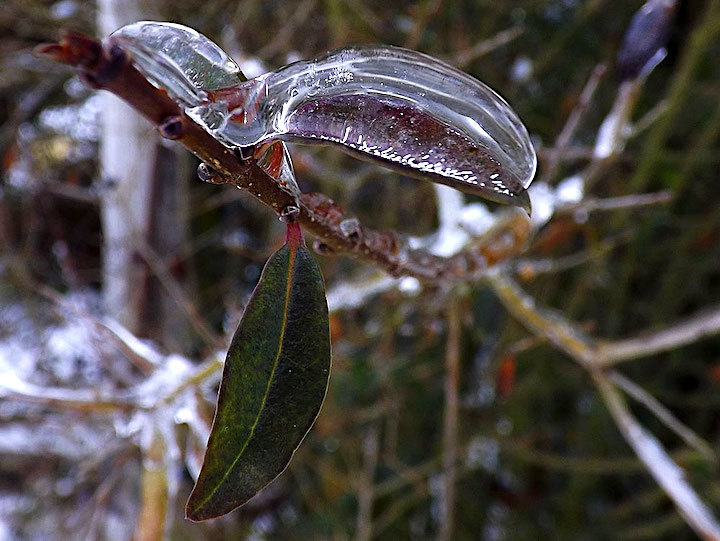 2013-01-eba-eiswelt-3