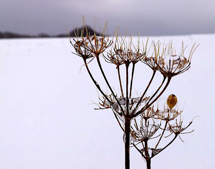 2013-01-ebam-eiswelt-2