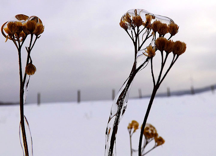 2013-01-ebatd-eiswelt-1