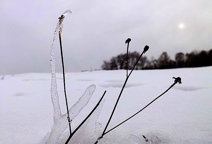 2013-01-ed-eiswelt-1