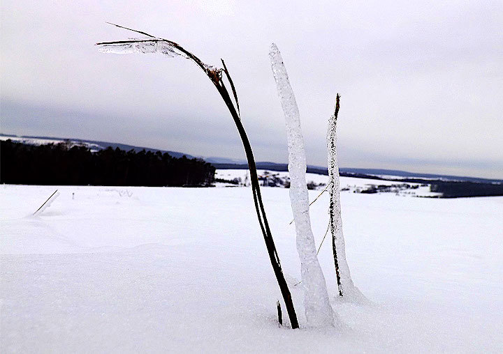 2013-01-ede-eiswelt-1