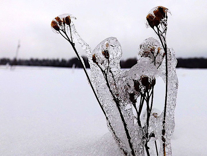 2013-01-edm-eiswelt-1