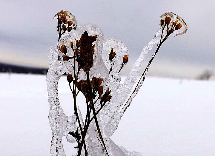 2013-01-edr-eiswelt-1