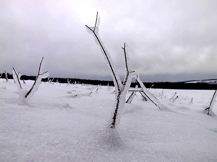 2013-01-edvd-eiswelt-1