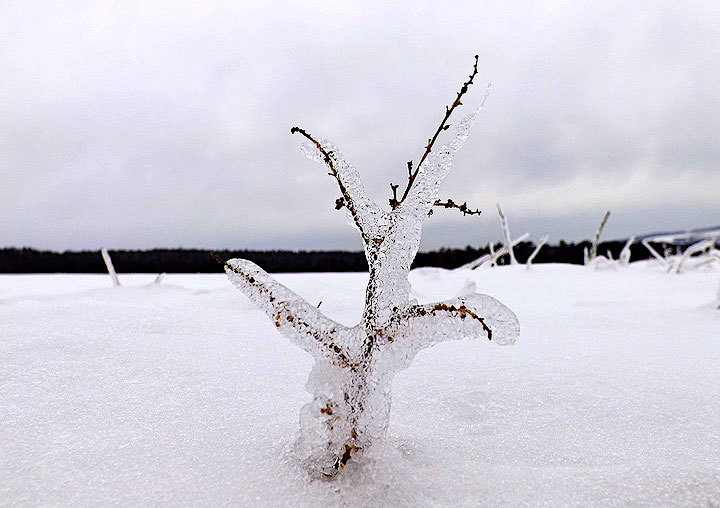 2013-01-edvf-eiswelt-1