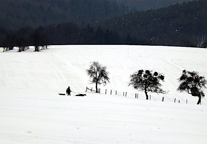 2013-01-edw-schneewald-1