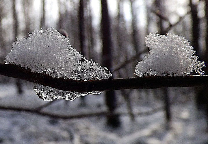 2013-02-abk-schnee-odw-1