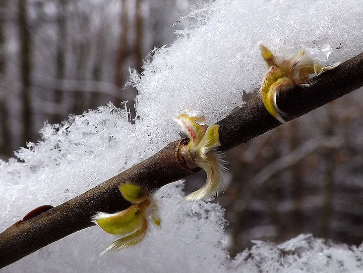 2013-02-abkb-schnee-odw-1