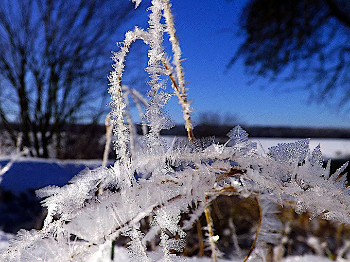 2013-02-acfd-eiskristalle-2