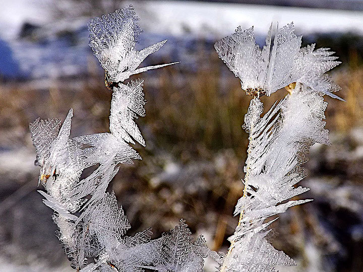 2013-02-acfe-eiskristalle-1