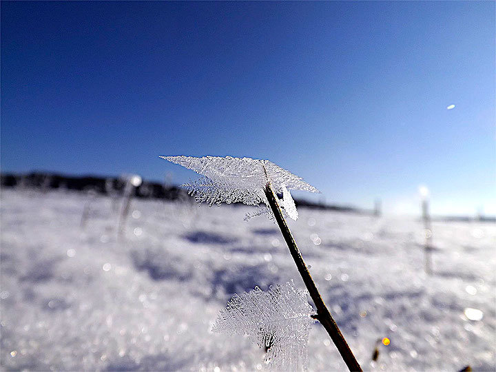 2013-02-acfg-eiskristalle-1