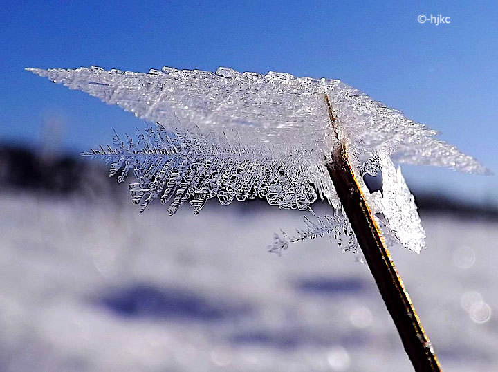 2013-02-acfga-eiskristalle-1