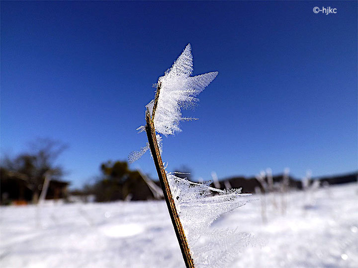 2013-02-acg-eiskristalle-1