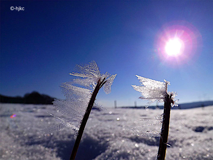 2013-02-aci-eiskristalle-1