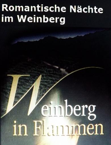 2013-05-ch-Weinberg in Flammen bei Klingenberg am Main