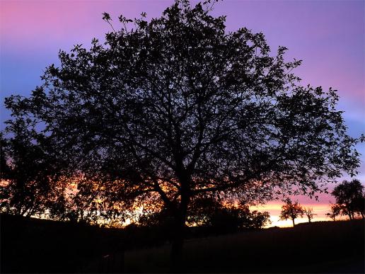 2013-06-dh-Sonnenuntergang - Odenwald