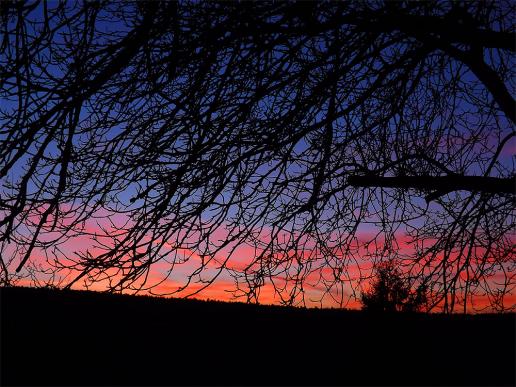 2014-01-b-Sonnenuntergang - Odenwald