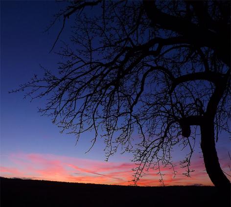 2014-01-baa-Sonnenuntergang - Odenwald