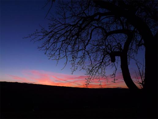 2014-01-bab-Sonnenuntergang - Odenwald