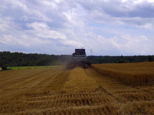 2014-07-bfb-Getreide-Ernte - Odenwald