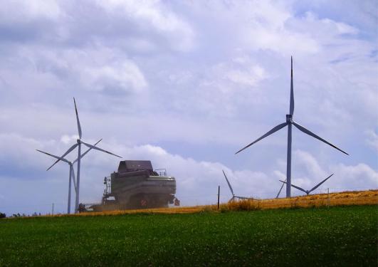 2014-07-bfd-Getreide-Ernte - Odenwald