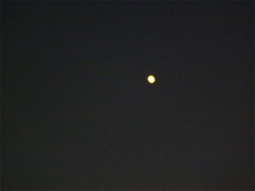 2015-02-bbd-Venus