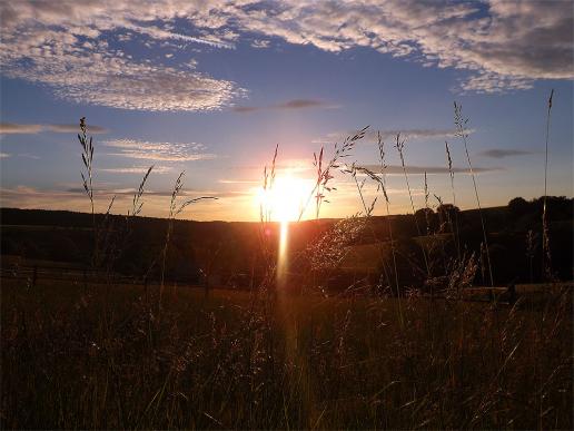 2015-06-ajf-Sonnen-Untergang - Odenwald