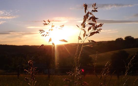 2015-06-ajg-Sonnen-Untergang - Odenwald