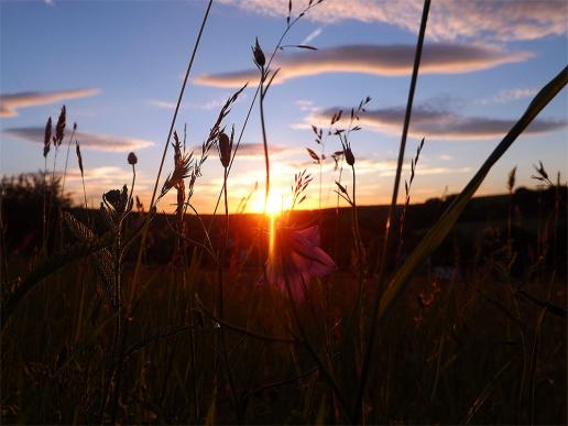 2015-06-aji-Sonnen-Untergang - Odenwald