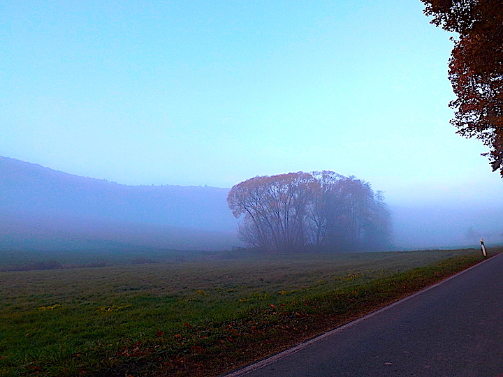 2015-11-bbc-nebel-odw-2