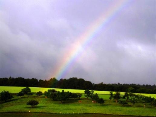 2016-06-da-Regenbogen